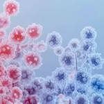 Antes das plantas ou dos animais, os fungos conquistaram a superfície da Terra