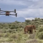 Drones: um aliado no céu para ajudar a salvar elefantes