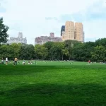 Cidades mais verdes estão associadas a menos internações em hospitais psiquiátricos