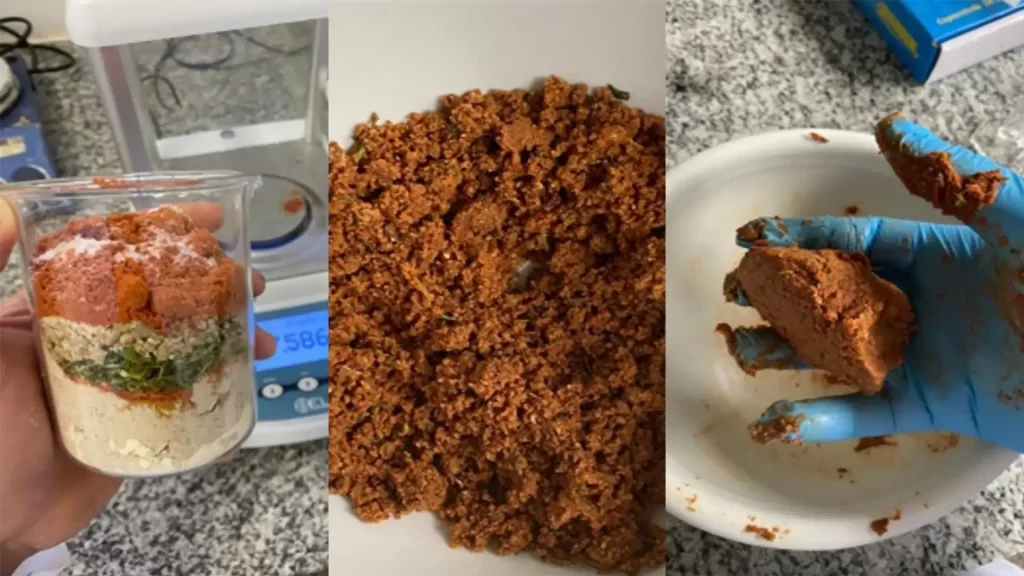 Os pesquisadores enriqueceram o produto com tomate em pó, especiarias e uma mistura de fontes de gordura composta por óleos de girassol, oliva e linhaça.