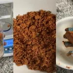 Os girassóis podem ser o futuro da carne vegana