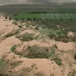 A Grande Muralha Verde da China: a gigantesca floresta artificial projetada para conter o avanço de ...