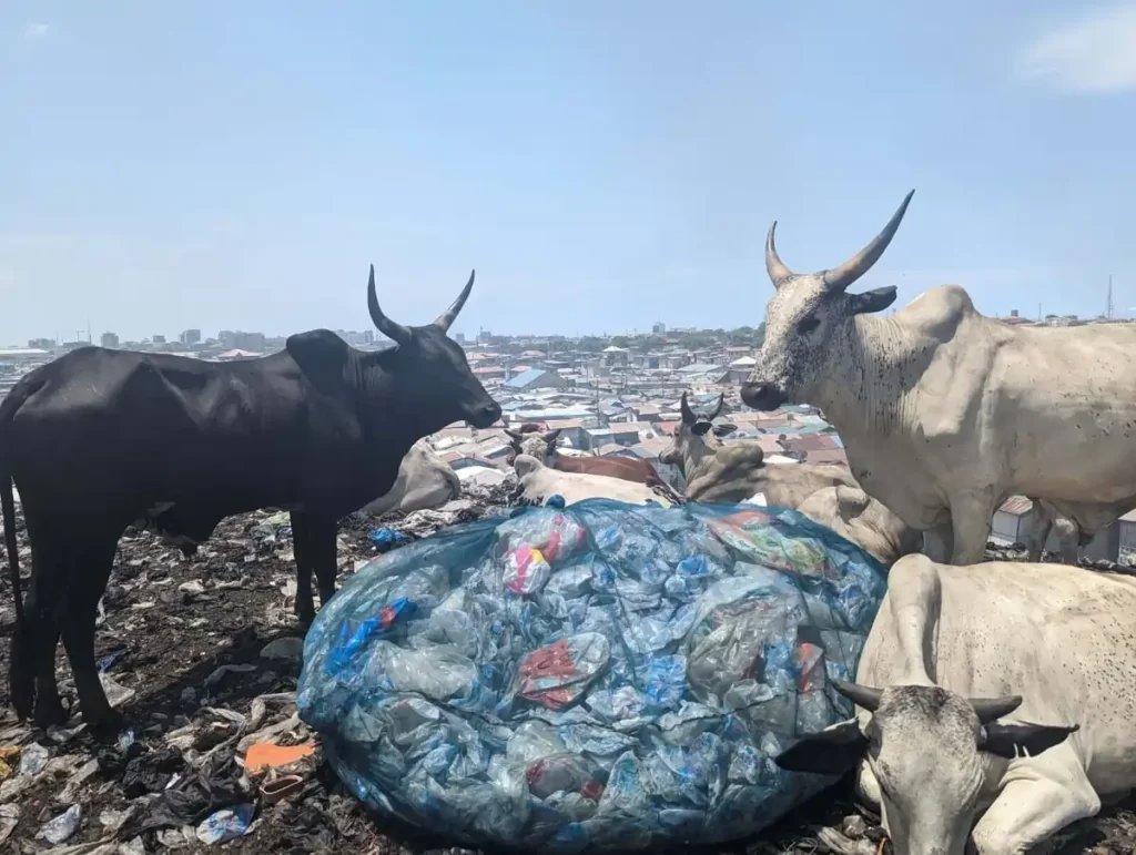 Um assentamento informal chamado Agbogbloshie cresceu rapidamente perto do centro de reciclagem de lixo eletrônico em Accra, Gana. 