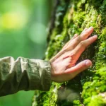 Os seres humanos foram feitos para a natureza, não para a vida moderna