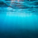 O oceano profundo está fixando carbono de maneiras que ninguém esperava