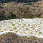 Spotted Lake: Lago alcalino do Canadá com piscinas de água salgada coloridas, malcheirosas e viscosa...