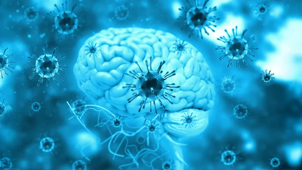 ilustração cérebro infecção vírus parasitas