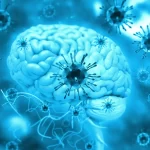 Um parasita comum no cérebro é muito mais ativo do que pensávamos