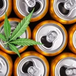 Pessoas que passaram a consumir bebidas com cannabis reduziram o consumo de álcool quase pela metade