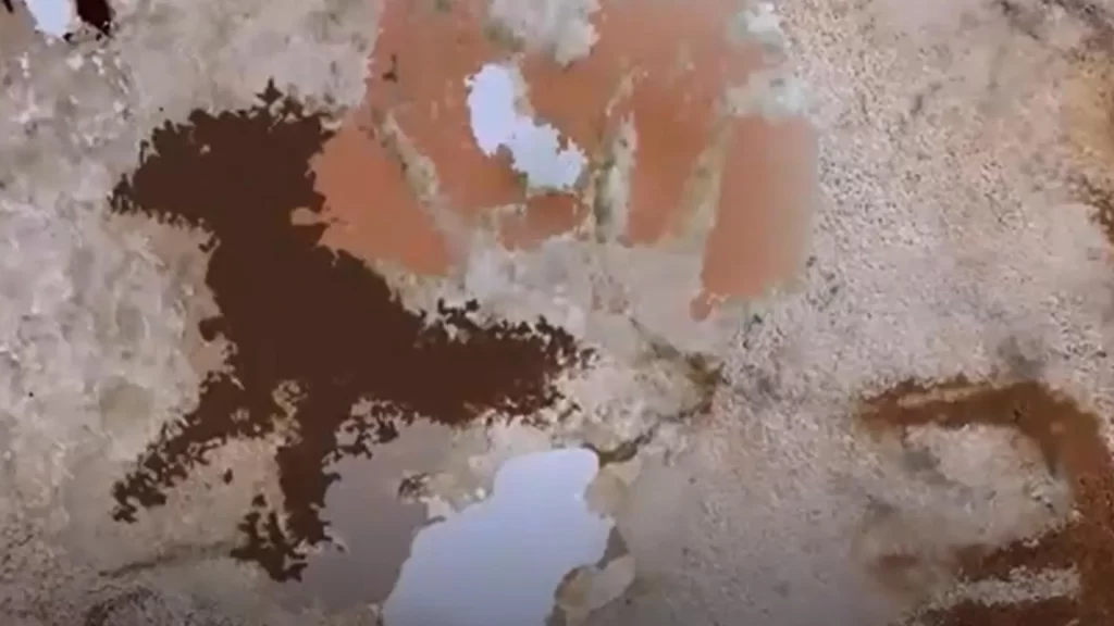 Estêncil de mão de 67.800 anos (com destaque)