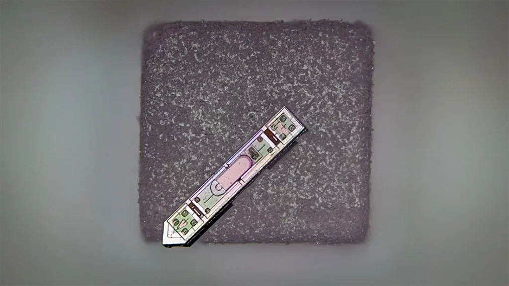 Um implante neural desenvolvido em Cornell repousa sobre um grão de sal. Com cerca de 300 micrômetros de comprimento e 70 micrômetros de largura, é o menor implante neural capaz de transmitir dados de atividade cerebral sem fio.
