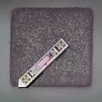 Este minúsculo implante, menor que um grão de sal, consegue ler o seu cérebro