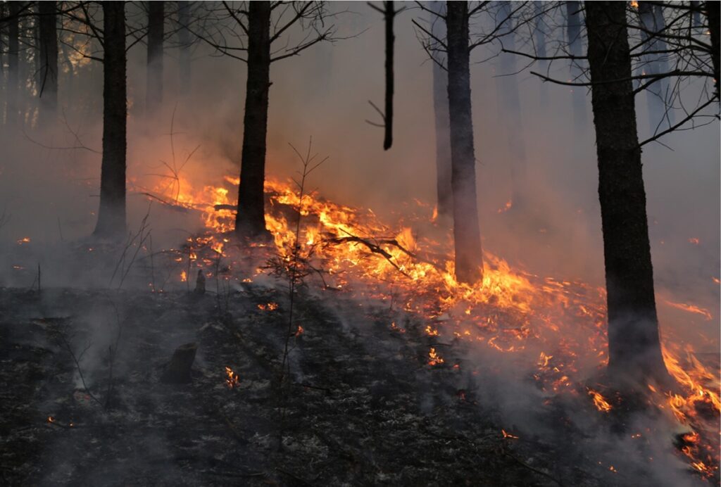 Incêndio florestal