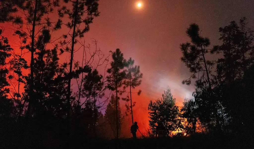 Incêndio florestal