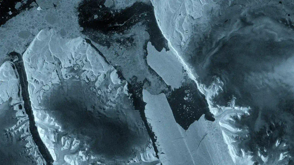 A missão Copernicus Sentinel-1 da Europa capturou uma mudança drástica na geleira Petermann, no noroeste da Groenlândia, onde uma seção de 76 km² da língua de gelo flutuante da geleira se desprendeu em 4 de agosto de 2026. 