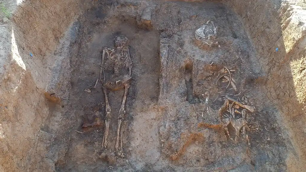 Arqueólogos encontraram uma câmara funerária medieval contendo os restos mortais de um homem, juntamente com um cavalo, um cachorro e equipamentos equestres.