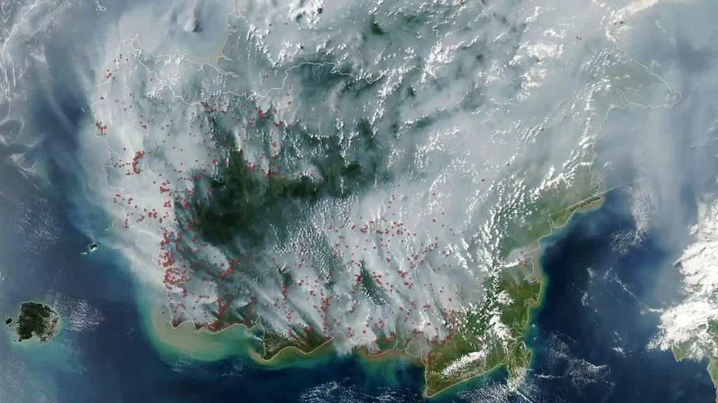 Os incêndios em turfeiras na Indonésia estão se intensificando devido à seca severa e ao El Niño, aumentando os temores de que o país possa estar caminhando para outra temporada de incêndios devastadora como a de 2015.