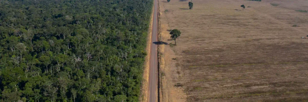 Uma rodovia se estende entre a Floresta Nacional do Tapajós, à esquerda, e uma plantação de soja em Belterra, estado do Pará, Brasil, em 2019. (