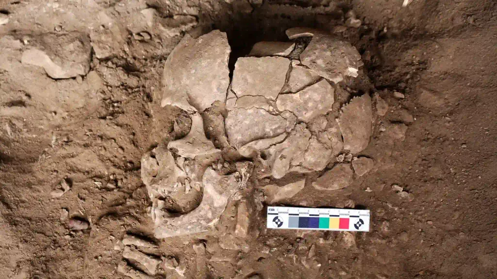 É possível que os humanos já consumissem noz de betel há 25.000 anos, o que leva o uso habitual de drogas a um período pré-histórico muito mais remoto do que os cientistas previam. (O esqueleto CPL-2a na trincheira.)
