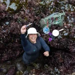 Biólogos marinhos descobrem novo plâncton na costa do Oregon